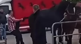 Szarpanie i kopanie koni pod lupą śledczych. Ruszyło&hellip;