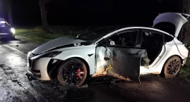Tesla uderzyła w drzewo w Sędziejowicach. 22-letni k&hellip;