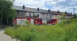 Pożar na posesji w Działoszynie
