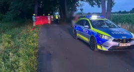 Motocykl uderzył w drzewo - 16-latek zmarł na miejscu