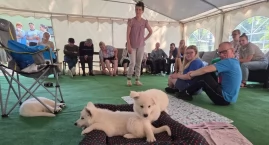 Cztery łapy niosące radość: Dogoterapia w Domu Pomoc&hellip;