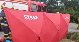 Czołowe zderzenie dwóch aut - jeden z poszkodowanych miał sądowy zakaz prowadzenia pojazdów
