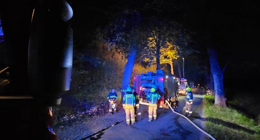 Pożar traw i lasu w okolicy Trzynika. Strażacy dwukrotnie wyjeżdżali w to samo miejsce (foto)