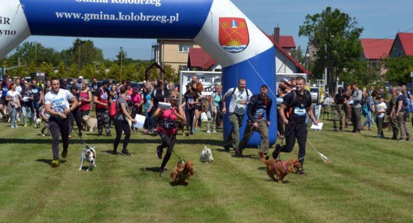 IX Kołobrzeski Dogtrekking. Weź udział w marszu na orientację ze swoim pupilem