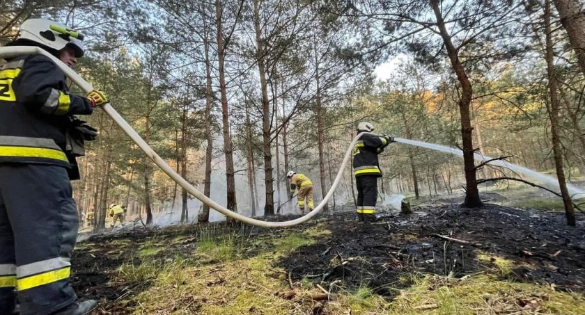 Gęsty dym nad drogą S6. Interweniowali strażacy 