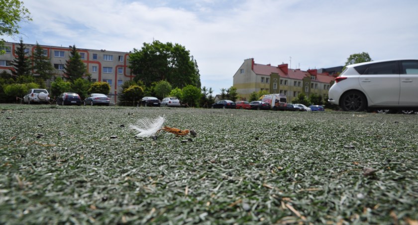 Modernizacja parkingu przy Mazowieckiej. Powstaną też dwa boiska do siatkówki plażowej