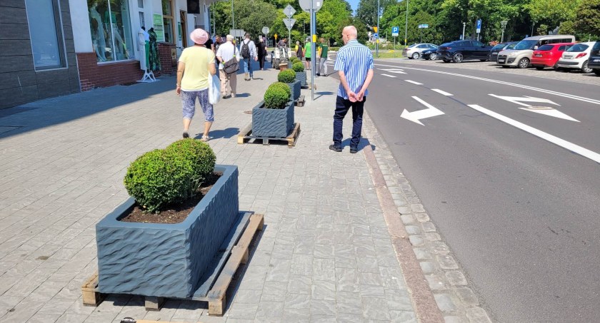 Donice z bukszpanami pojawiły się w centrum Kierowcy nie zaparkują już przy Armii Krajowej