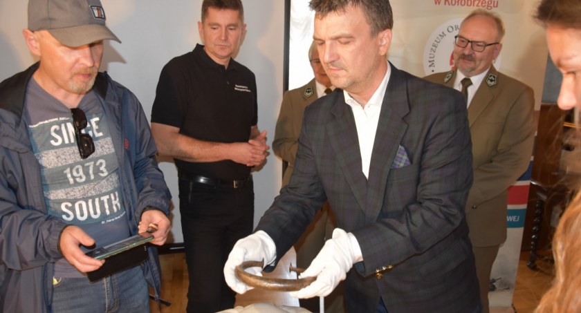 Unikatowe odkrycie! Te skarby mają ponad 3500 lat! | zdjęcia