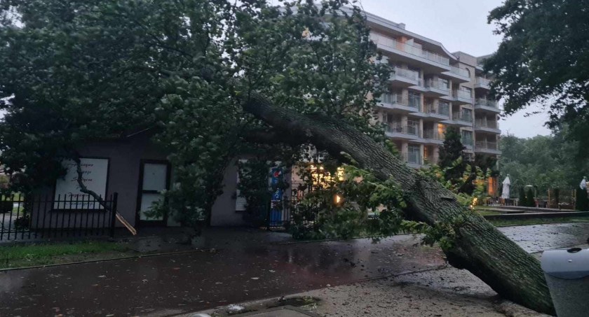 Drzewo spadło na sklep. Kilkaset interwencji stażaków