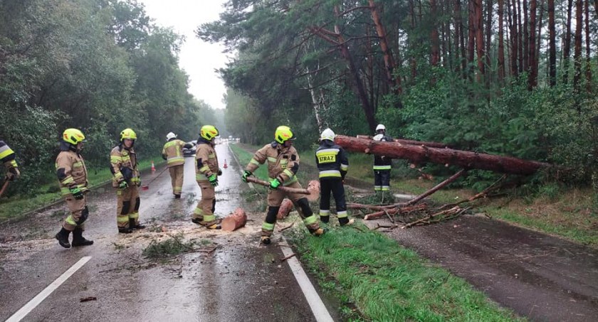Tyle było interwencji straży pożarnej w naszym regionie | zdjęcia