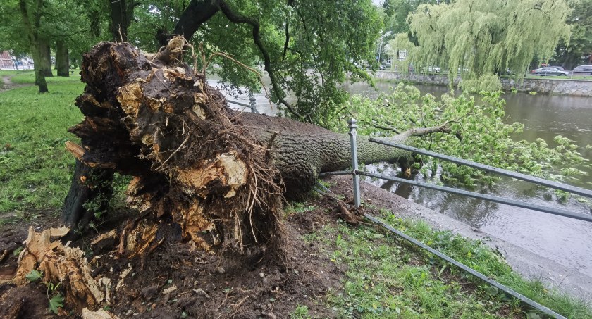 Uważaj! Nie wchodź do parków