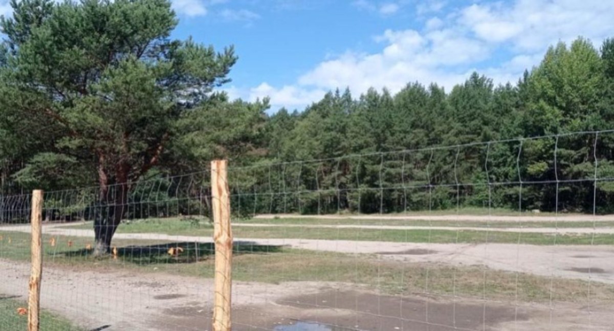 Co z parkingiem przy plaży nudystów? Jest decyzja Nadleśnictwa