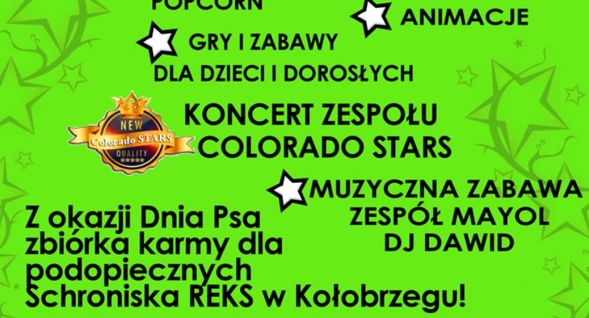 Noc pełna atrakcji dla całej rodziny! Zabawy, konkursy, animacje