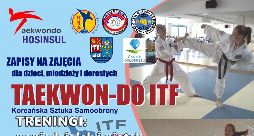 Taekwon- Do ITF HOSINSUL - zapisy na zajęcia