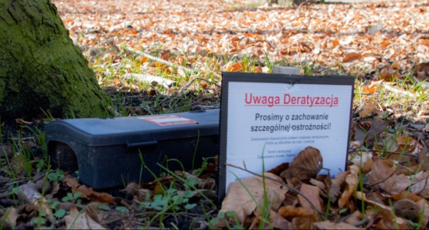 Deratyzacja w jednym z parków - komunikat Urzędu Miasta