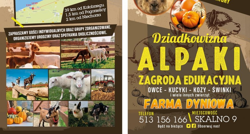 Zagroda Edukacyjna Dziadkowizna - zaprasza na Farmę Dyniową