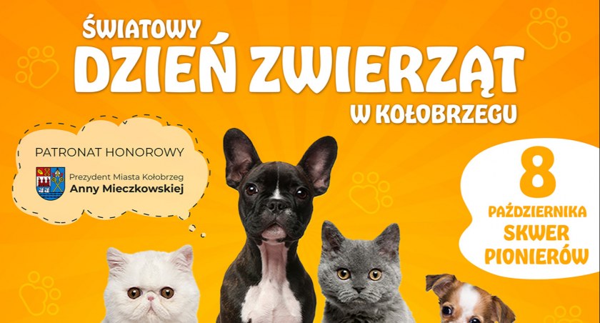 Światowy Dzień Zwierząt na Skwerze Pionierów
