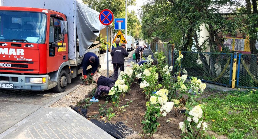 Tysiące kwiatów przy Zdrojowej. Trwają nasadzenia