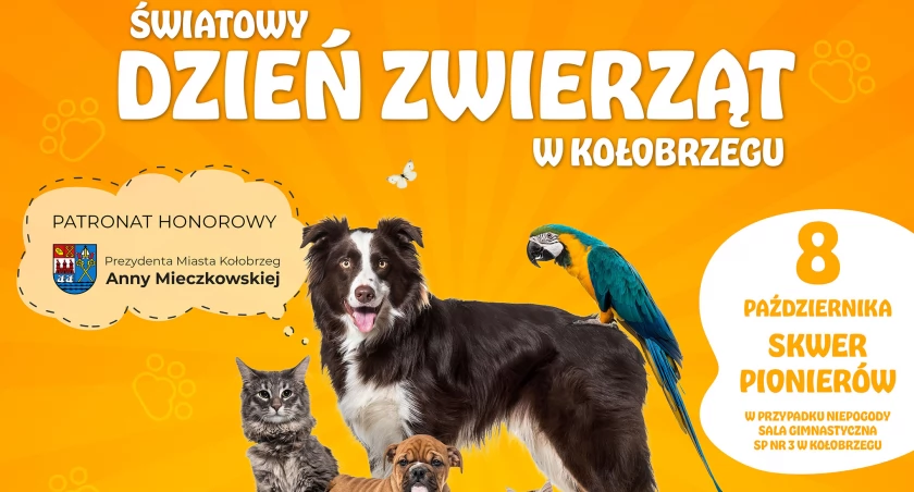 Światowy Dzień Zwierząt na Skwerze Pionierów