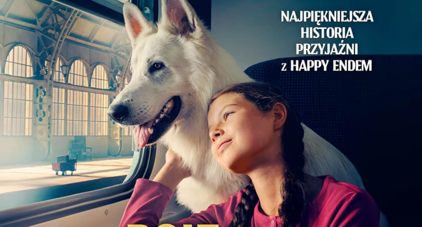 O psie, który jeździł koleją. Seans w Regionalnym Centrum Kultury