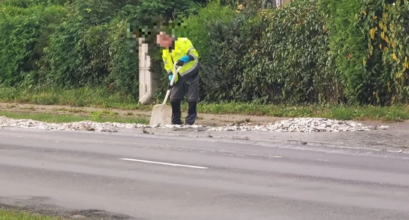 Kilkadziesiąt kilogramów ryby wysypało się na drogę 