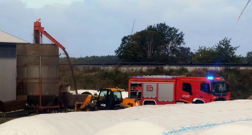 Paliła się gryka. Interweniowała straż pożarna