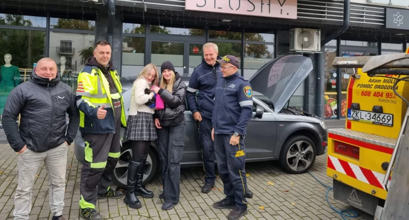 Kotek pod maską samochodu. W akcji ratunkowej niezbędna okazała się... pomoc drogowa
