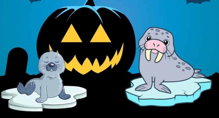 Mroczna kąpiel w Bałtyku. Halloween z kołobrzeskim morsami