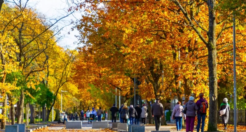 Jesień nad morzem. Spacer najdłuższą promenadą w Polsce | zdjęcia