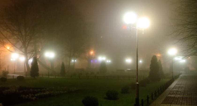 Miasto wybrało dostawcę prądu. Jest taniej niż przypuszczano – o kilka milionów