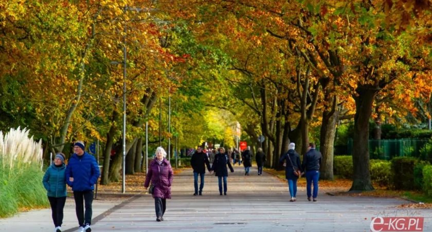 Są cztery propozycje nazw dla najdłuższej promenady w Polsce. Zwycięską wybiorą internauci