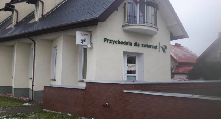 Całodobowa opieka weterynaryjna. Tylko jedna firma zainteresowana usługą