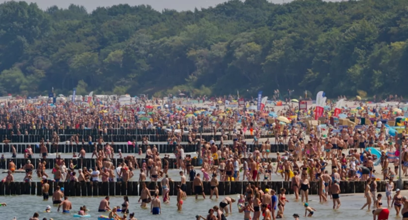 Gastronomia na plażach w sezonach letnich