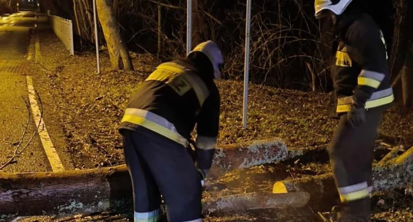Wichura w regionie. Sporo interwencji strażaków