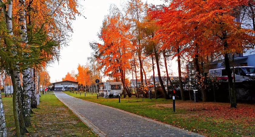 Camping z Ustronia Morskiego uznany za najlepszy w Polsce 