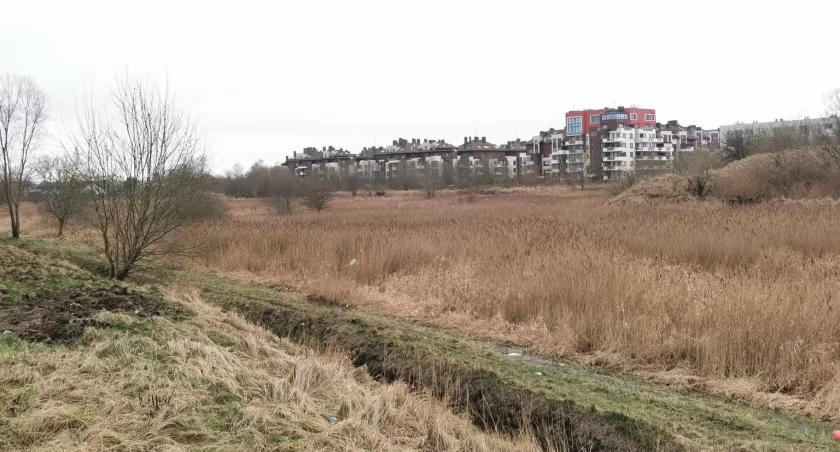 W mieście powstanie wreszcie Park Bajkowy? Pojawiła się szansa na realizację zielonej inwestycji