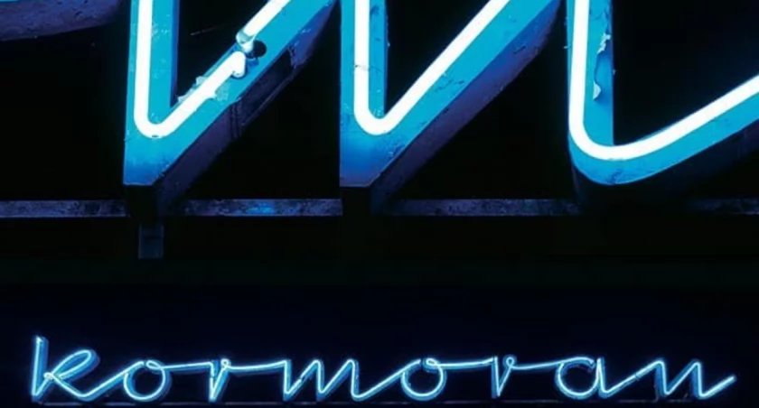 Kolejny świetlany szyld trafi w przyszłości do Galerii Neonów