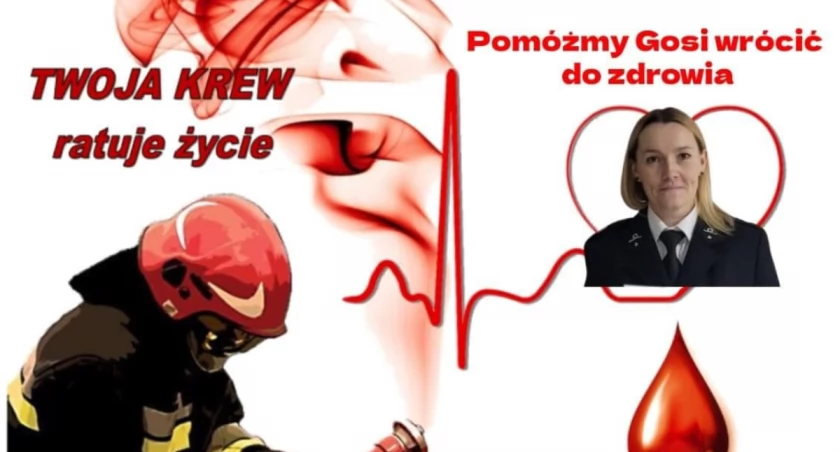Pomóż Gosi wrócić do zdrowia! Bohaterem może zostać każdy