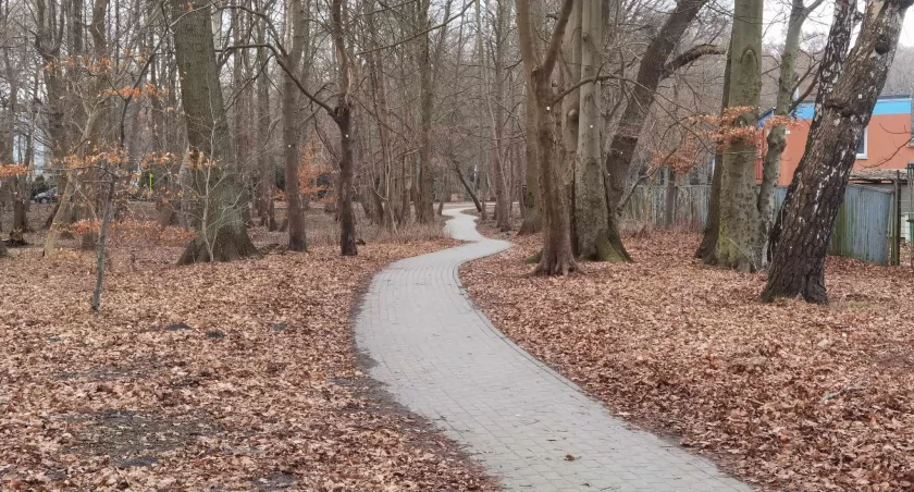 Ma być bezpieczniej. Doświetlą część parku w zachodniej części miasta