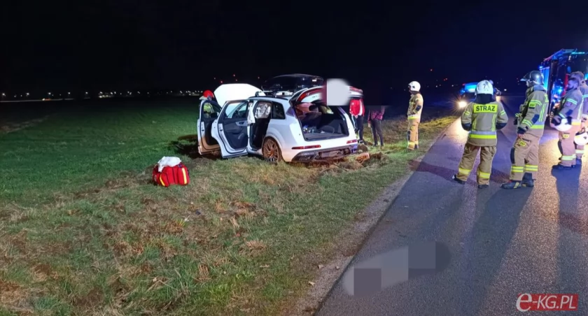 Audi wypadło z drogi. Jedna osoba poszkodowana 