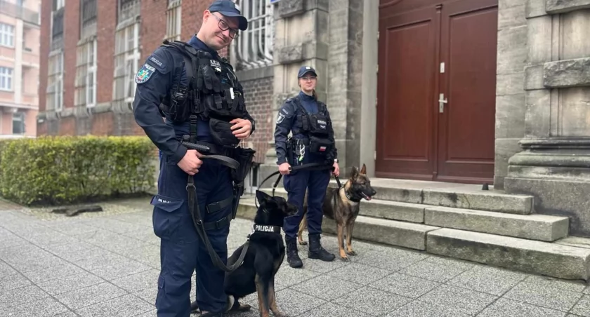 Dwaj nowi funkcjonariusze trafili do kołobrzeskiej policji. Mają po cztery łapy i ogon |wideo