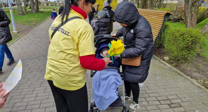 Pola Nadziei. Zobacz, ile środków zebrano dla hospicjum