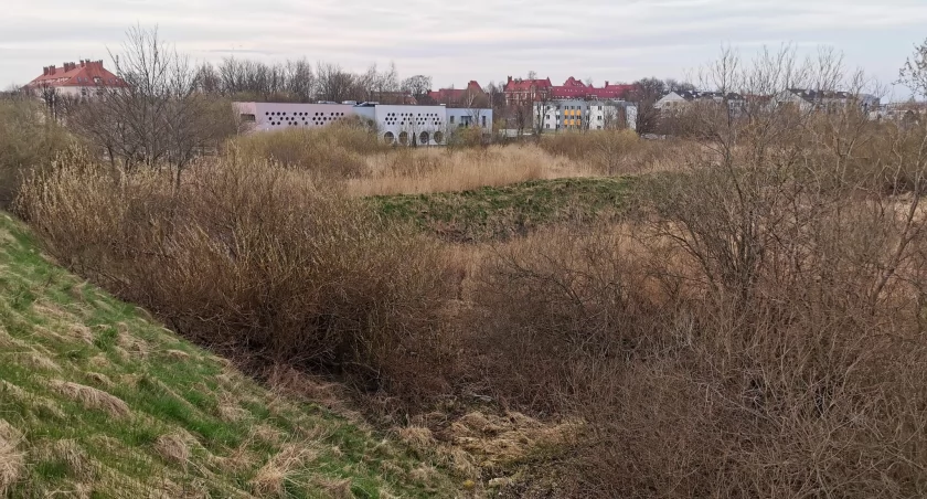 Dzikie miejsce w zachodniej części miasta. To ma się zmienić | zdjęcia 