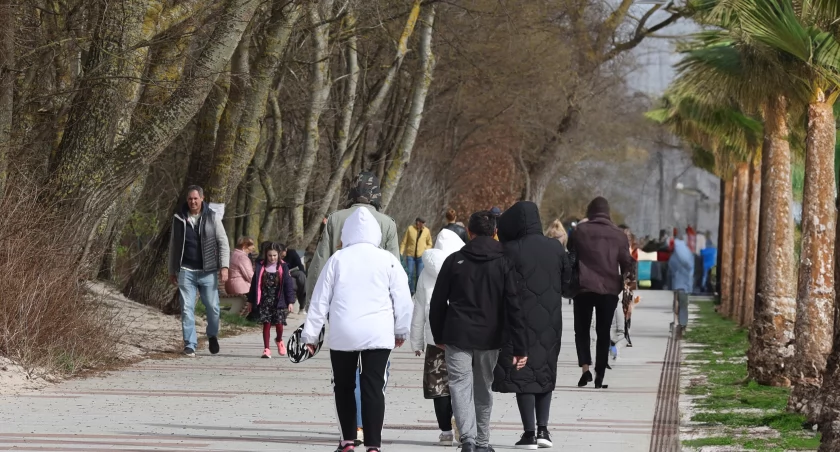Palmy przy promenadzie? To więcej niż pewne
