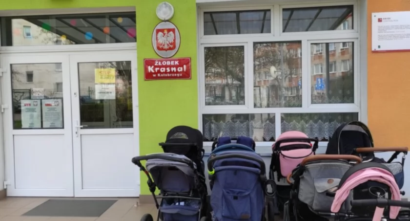 Rekrutacja do żłobka | Wniosek, kryteria, terminy