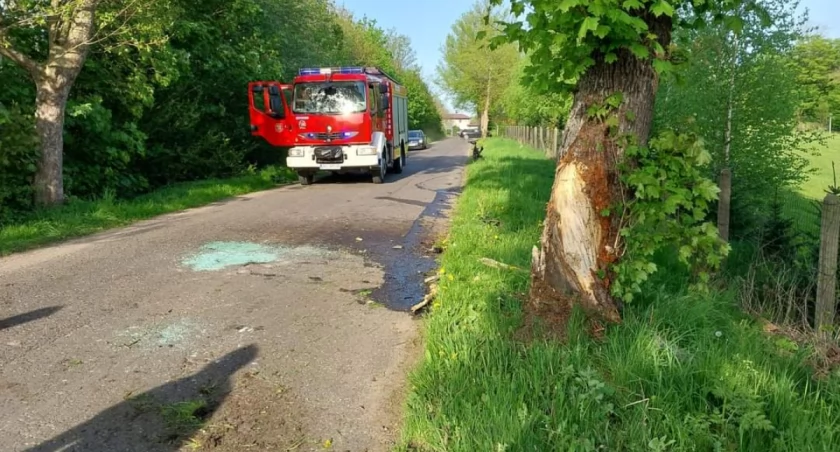 Kierowca audi uderzył w drzewo. Potem auto zniknęło...