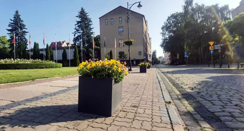 Z centrum zniknął parking. Zamiast – bratki i stokrotki