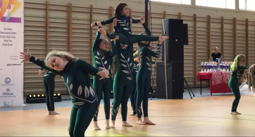 Zespół Swan Dance zaprasza na Casting