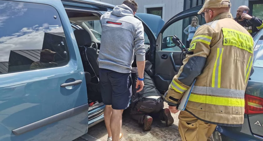 W samochodzie odkryli węża. Pasażer na gapę mógł przyjechać z południa Polski