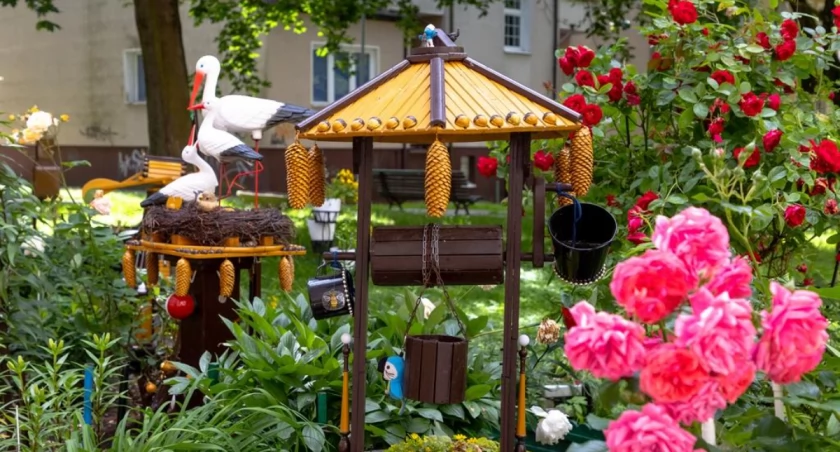 Magiczny ogródek w centrum miasta | zdjęcia